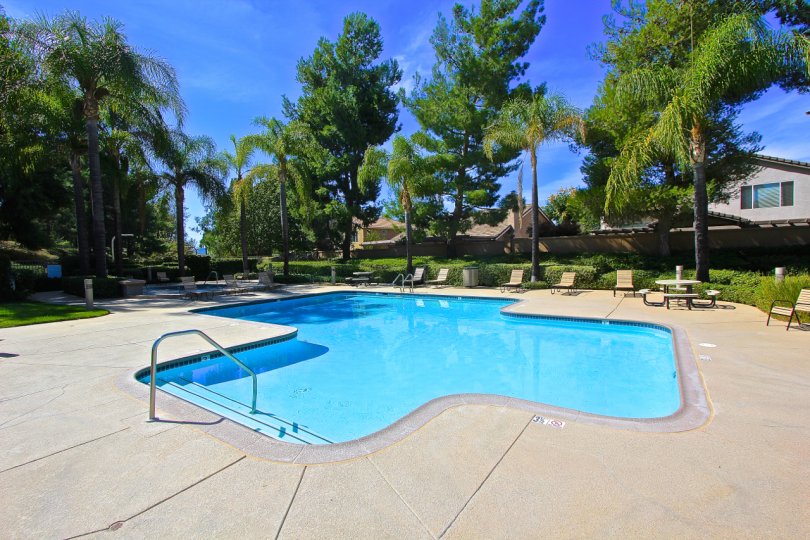 Take a dip in one of the community pools at Paloma Del Sol