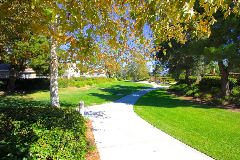 One of the many great features of Paloma Del Sol is it's walking trails