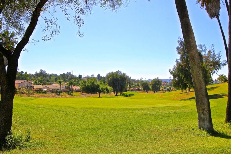 Golf Course in Temeku Hills