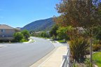 Beautiful tree lined streets in the foothills of West Murrieta